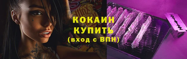 сатива Сосновка