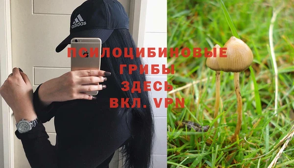 apvp Алексеевка