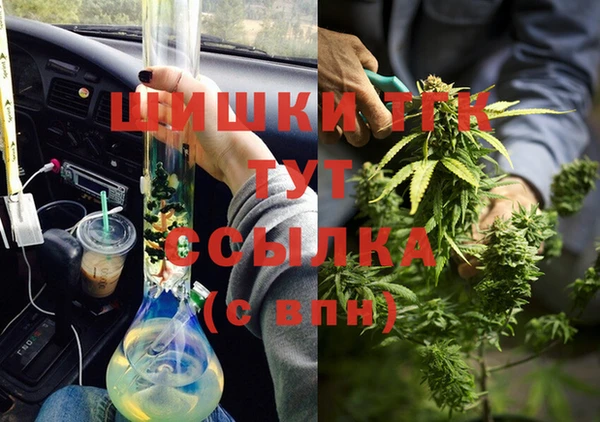 МДПВ Алексин